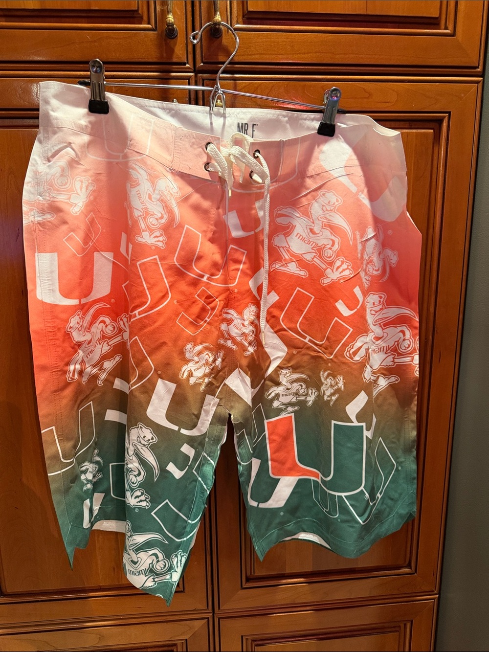 University of Miami Ombre Logo Swim Board Shorts